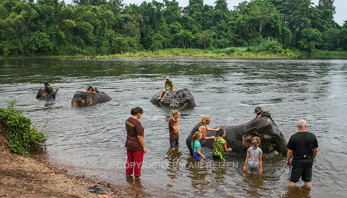 Kanchanaburi Elephants World