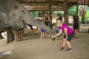 Kanchanaburi Elephants World