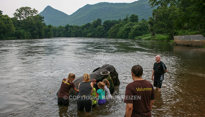 Kanchanaburi Elephants World