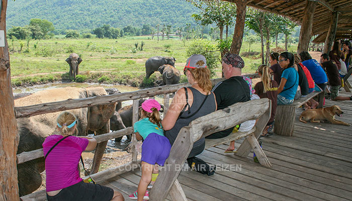 Kanchanaburi Elephants World