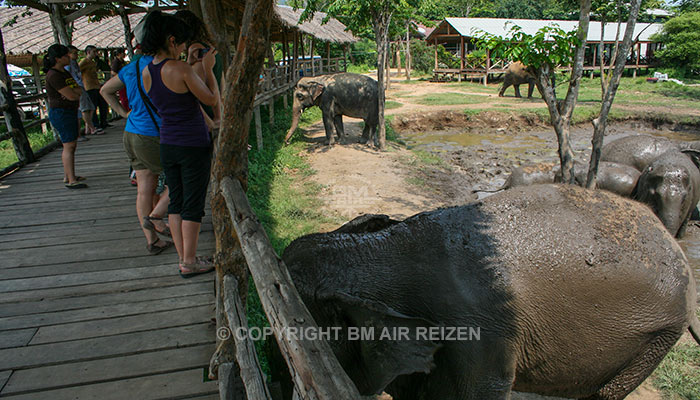 Kanchanaburi Elephants World