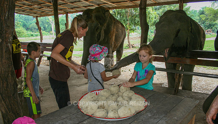 Kanchanaburi Elephants World