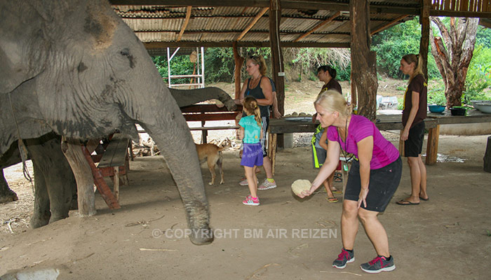 Kanchanaburi Elephants World