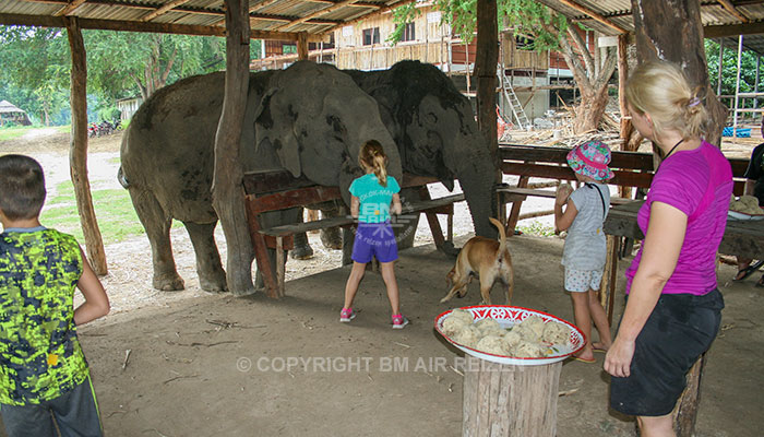 Kanchanaburi Elephants World