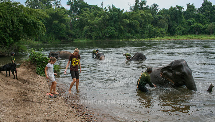 Kanchanaburi Elephants World