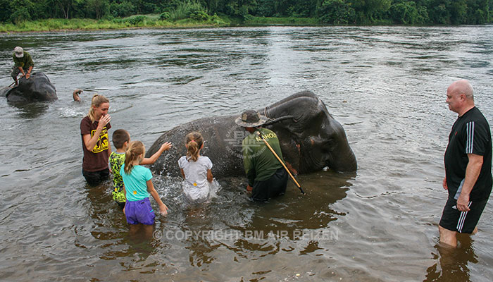 Kanchanaburi Elephants World