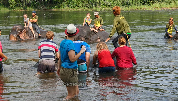 Kanchanaburi Elephants World