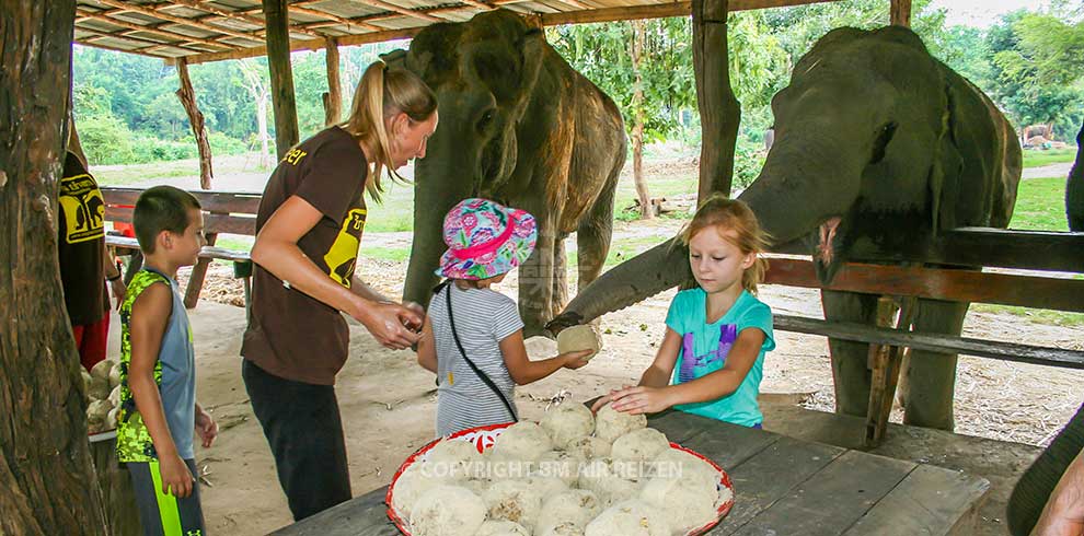 Kanchanaburi Elephants World