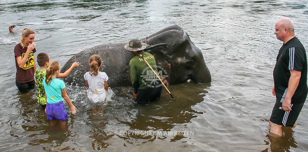 Kanchanaburi Elephants World