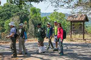 Khao Yai National Park - trekking