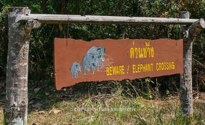 Khao Yai National Park