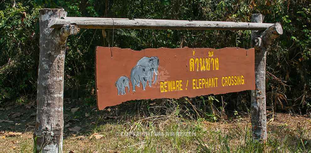 Khao Yai National Park