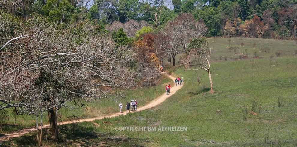 Khao Yai National Park - trekking