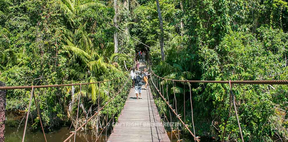 Khao Yai National Park