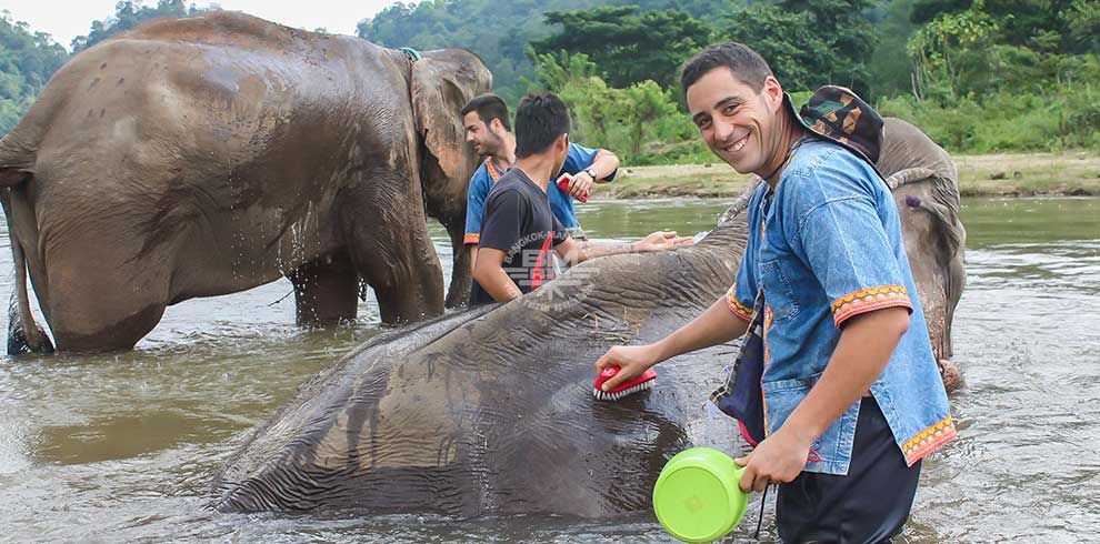 Mae Tang - Elephant Care