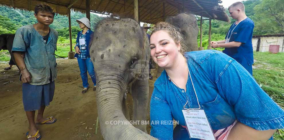 Chiang Mai - Elephant Sanctuary