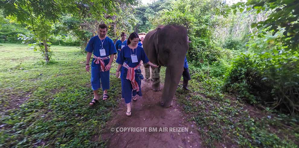 Chiang Mai - Elephant Sanctuary