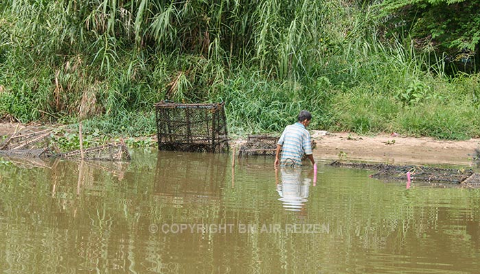 Chiang Mai - Mae Ping River Cruise