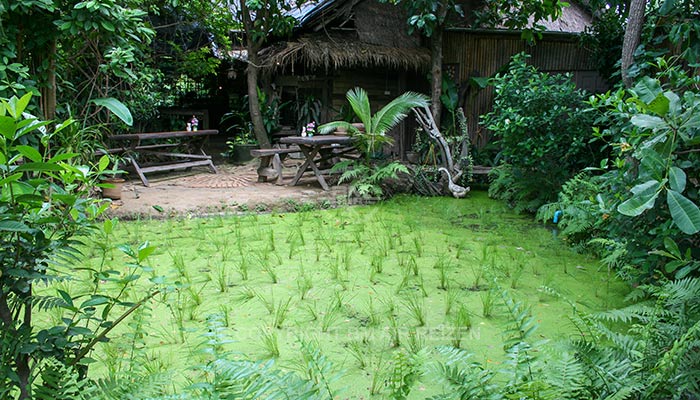 Chiang Mai - Mae Ping River Cruise