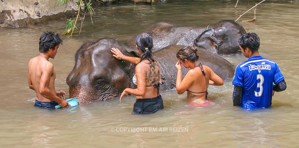 Chiang Mai Startpakket