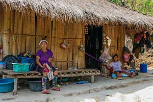 Chiang Rai - bergstam