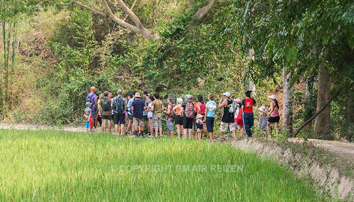 Mae Tang Trekking