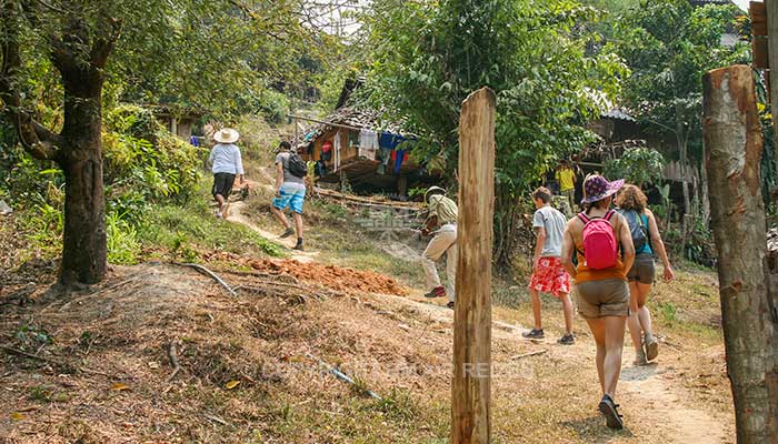 Mae Tang Trekking