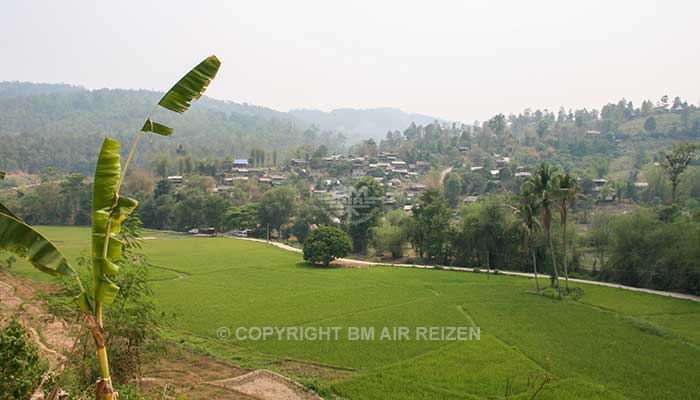 Mae Tang Trekking