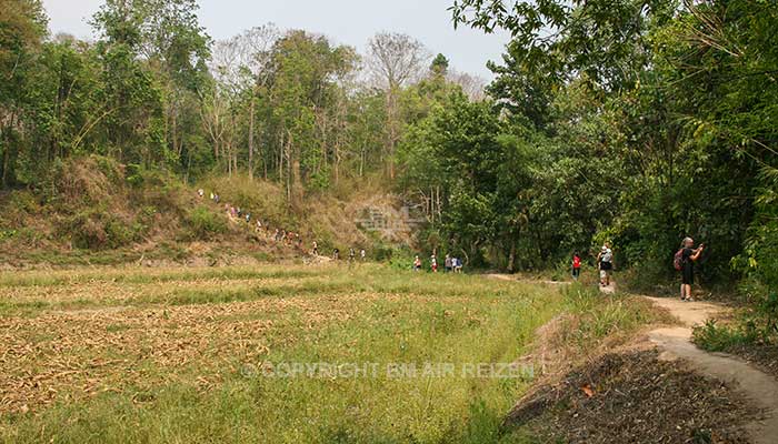 Mae Tang Trekking