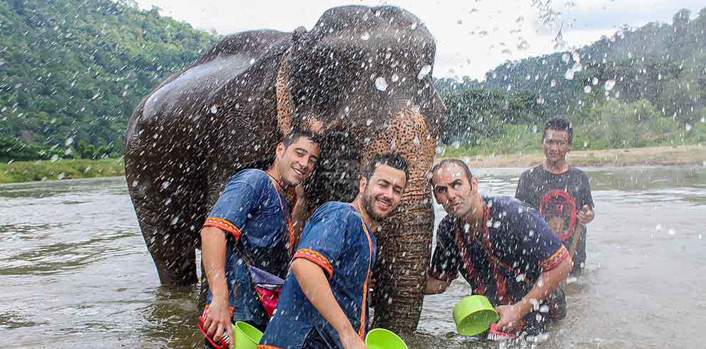 Mae Tang - Elephant Care