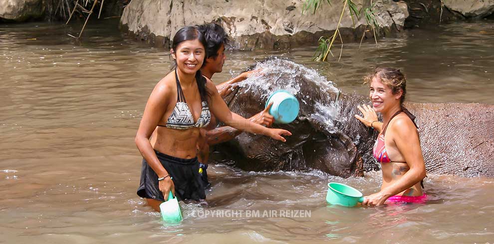 Mae Tang - Elephant Care