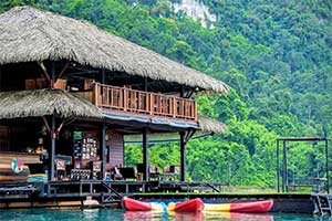 Khao Sok National Park - Panvaree The Greenery