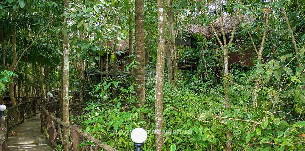 Khao Sok Paradise Resort