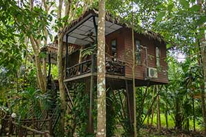 Khao Sok Paradise Resort