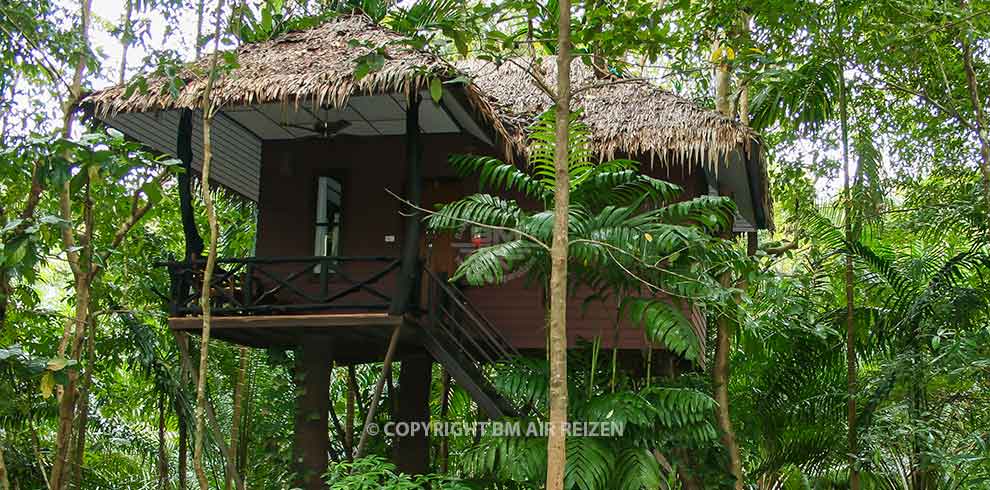 Khao Sok Paradise Resort
