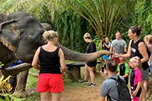 Khao Sok Elephant Sanctuary