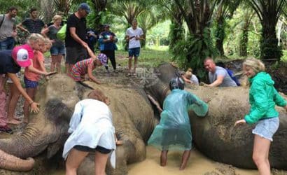 Khao Sok Elephant Sanctuary
