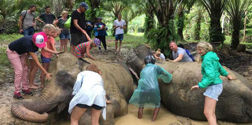 Khao Sok Elephant Sanctuary
