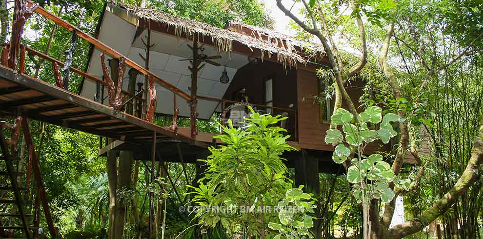 Khao Sok Paradise Resort
