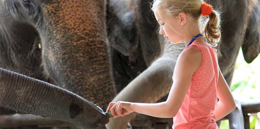 Khao Sok Elephant Sanctuary