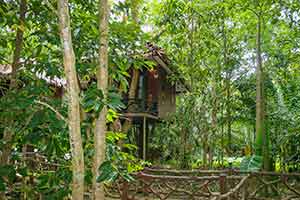 Khao Sok Paradise Resort