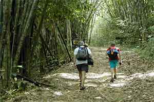 Khao Sok National Park - jungle trekking