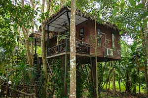 Khao Sok - Khao Sok Paradise Resort