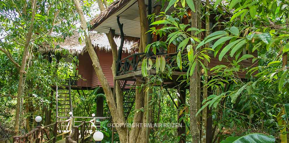 Khao Sok Paradise Resort