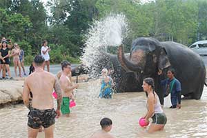 Phuket - Green Elephant Sanctuary Park