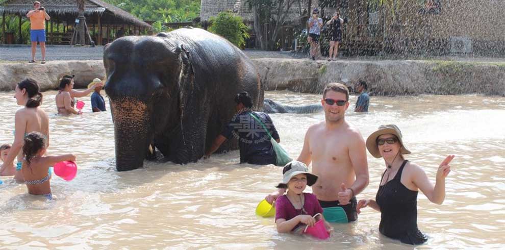 Phuket - Green Elephant Sanctuary