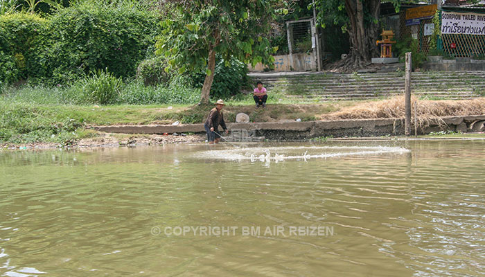 Chiang Mai - Mae Ping River Cruise