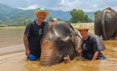 Mae Tang - Elephant Care