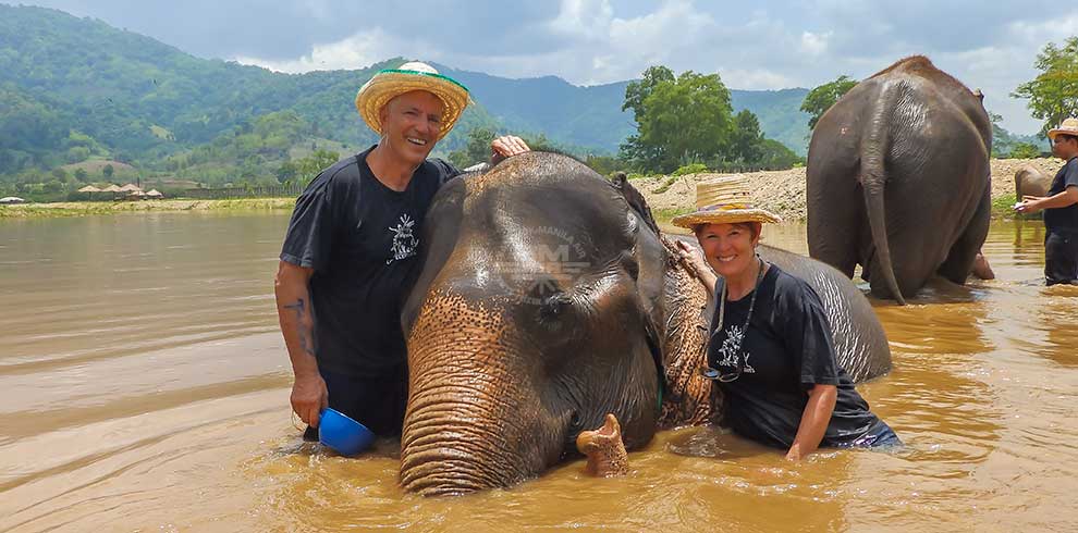 Mae Tang - Elephant Care