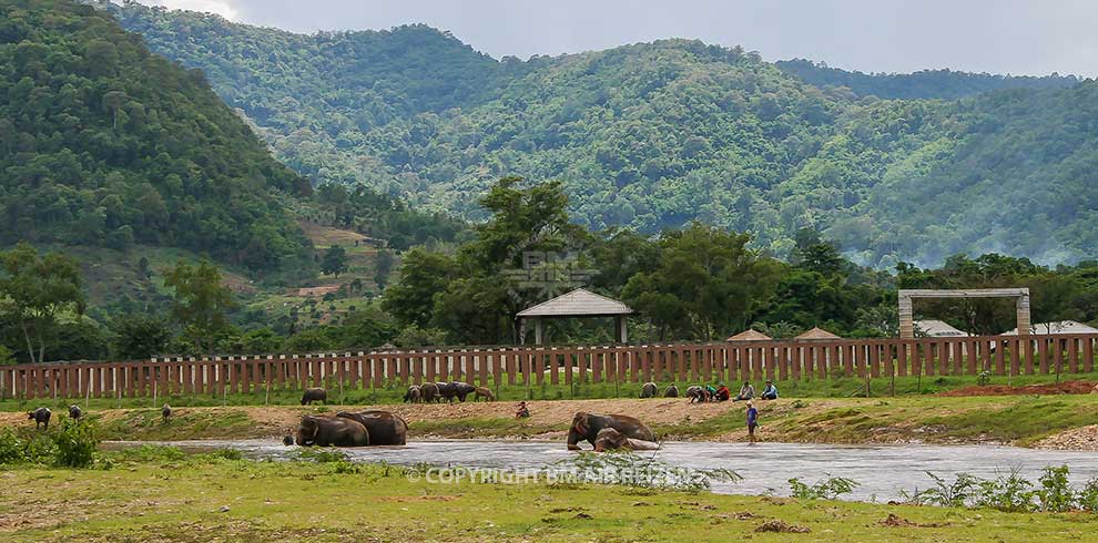 Mae Taeng - Mahout Training